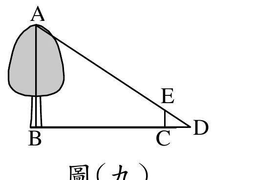 一棵樹長在 B 點（樹冠以灰色塊表示），樹幹底部為 B、樹頂為 A；B、C、D 由左至右排在同一條水平線上。由樹頂 A 拉一條線段到 D，中途經過 C 處標竿的頂端 E（A、E、D 三點大致共線）。C 處立著一根標竿，頂端標 E，EC 為鉛直線段。圖上的雙線記號畫在樹幹 A 到 B 那一段上（不是畫在標竿 EC 上）。