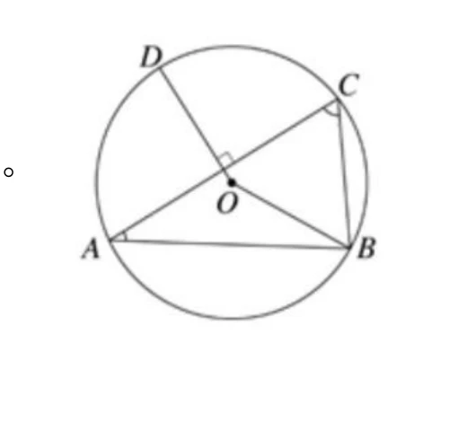一圓，圓心 $O$ 以實心點標於中央。圓周上四點：$D$ 在左上、$C$ 在右上、$A$ 在左下、$B$ 在右下。畫出的線段有：$\triangle ABC$ 的三邊 $\overline{AB}$（下方，近似水平）、$\overline{AC}$（由 $A$ 往右上到 $C$）、$\overline{BC}$（由 $B$ 往上到 $C$）；以及兩條半徑 $\overline{OD}$（由 $O$ 往左上到 $D$）與 $\overline{OB}$（由 $O$ 往右下到 $B$）。$\overline{OD}$ 在往 $D$ 的途中與弦 $\overline{AC}$ 相交，交點處畫有直角記號（小方框）——那個直角記號標的是 $\overline{OD}\perp\overline{AC}$，交點是 $\overline{OD}$ 與 $\overline{AC}$ 的交點，不是 $O$ 本身；$O$ 在該交點的右下方。$A$ 點與 $C$ 點旁各有一小段角度記號（$\angle A$、$\angle C$ 的位置）。圖上沒有畫 $\overline{BD}$ 這條弦。