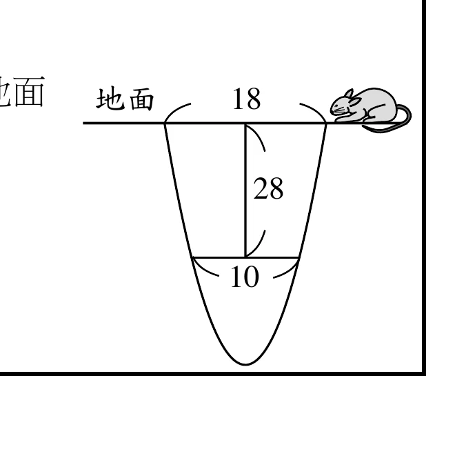 一個開口向上漸縮、底部呈拋物線彎曲收尖的地洞側面圖：最上方為地面（水平線），地面處洞寬標示18；由地面往下量的垂直距離標示28（到達某一深度）；該深度處的洞寬標示10；再往下洞壁繼續彎曲收窄成尖底。地面右端另畫有一隻趴著的老鼠卡通圖案（裝飾用，非測量標示）。