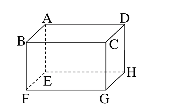 一個長方體，頂點標示：上面（頂面）為A（後左）、D（後右）、C（前右）、B（前左）；下面（底面）為E（後左，藏於內部）、H（後右）、F（前左）、G（前右）。實線邊：AB、AD、DC、CB（頂面四邊）、BF、CG、DH（三條垂直邊）、FG、GH（底面前緣與右緣兩邊）；虛線（被遮擋的邊）：AE、EF、EH（與隱藏頂點E相連的三邊）。