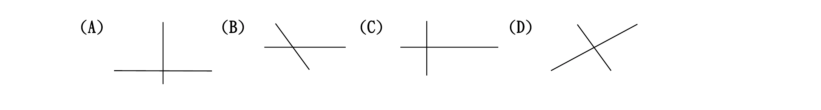 四個選項各是一組交叉線段（線段上沒有端點字母），選項標籤 (A)(B)(C)(D) 由左至右排列：(A) 一條鉛直線與一條水平線垂直相交——水平線的交點大致落在它的中間，鉛直線的交點則明顯偏下（下段大約只有上段的三分之一）。(B) 一條水平線與一條斜線相交——斜線的交點大致落在它的中間，水平線的交點偏左（右半段明顯比左半段長）。(C) 一條鉛直線與一條水平線垂直相交——鉛直線的交點大致落在它的中間，水平線的交點偏左（右半段明顯比左半段長）。(D) 兩條斜線交叉成 X 形——兩條線的交點都落在各自的中間，被分成的兩段看起來一樣長。