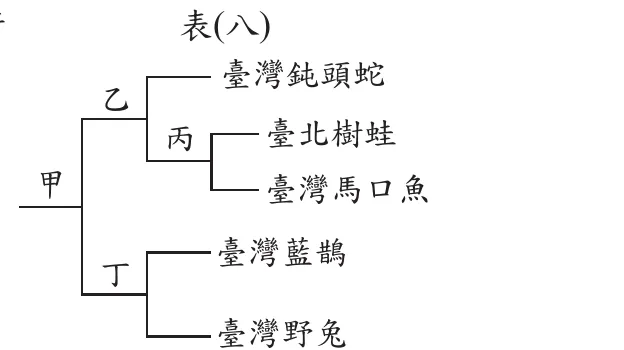 分類樹狀圖，標題「表(八)」：最左端為「甲」，向右分成兩支，上支標「乙」、下支標「丁」。「乙」再分兩支：上支直接連到「臺灣鈍頭蛇」，下支標「丙」；「丙」再分兩支，分別連到「臺北樹蛙」與「臺灣馬口魚」。「丁」分兩支，分別連到「臺灣藍鵲」與「臺灣野兔」。