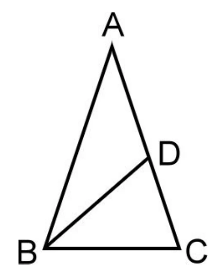 $\triangle ABC$：$A$在上方、$B$在左下、$C$在右下。$D$點在$\overline{AC}$邊上（靠近$C$），並畫有線段$\overline{BD}$。