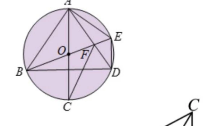 一個淺紫色填色的圓，圓心 O。圓周上依序標示 A（最上方）、E（右上方）、D（右側，與 B 約略同高）、B（左側）、C（最下方）。圖中畫出的弦／線段共七條：A–B、A–C、A–D、A–E、B–D、B–E、D–E（沒有 B–C、C–D、C–E）。通過圓心的是 A–C 與 B–E 這兩條，它們才是直徑（兩條的中點都落在圓心上）；B–D 看起來橫貫全圖，但它的中點明顯在圓心下方，不是直徑。F 是 A–D 與 B–E 兩條弦的交點，落在圓的內部（不在圓周上）。