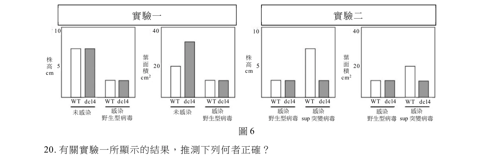 圖6分成「實驗一」與「實驗二」兩個外框，各自內含「株高cm」（縱軸最高刻度10）與「葉面積cm²」（縱軸最高刻度40）兩張長條圖，橫軸皆以WT、dcl4為一組並排。實驗一：株高圖中，「未感染」的WT與dcl4長條幾乎等高（約7～8），「感染野生型病毒」後WT與dcl4的株高長條也幾乎等高，但都明顯矮於未感染組（約2～3）；葉面積圖中，「未感染」的WT與dcl4葉面積長條差異明顯（WT約20，dcl4約33～35，是四根長條中最高的一根），但「感染野生型病毒」後，WT與dcl4的葉面積長條都明顯偏低且彼此相近（約10～12）。實驗二：株高圖中，「感染野生型病毒」的WT與dcl4長條都偏矮且接近（約2～3），但「感染sup突變病毒」時，WT的株高長條大幅升高（約8，四根中最高），dcl4的株高長條仍然偏矮（約2～3）；葉面積圖中，「感染野生型病毒」的WT與dcl4都偏低且接近（約10），「感染sup突變病毒」時WT的葉面積長條明顯升高（約20，四根中最高），dcl4的葉面積長條仍偏低（約10）。