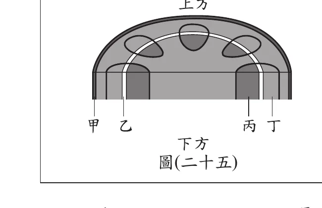 圖(二十五)：植物莖的半圓頂立體切面示意圖，標示「上方」的弧形頂面可見3個橢圓形維管束沿一圈白色環帶排列(左、中、右各一，左右兩個維管束呈斜置橢圓、一半跨在環帶內側一半跨在外側，中間一個呈水滴狀跨於環帶最頂端)；標示「下方」的矩形前側面則可見白色環帶在此處分為左右兩段深色縱向色塊(對應左右兩個維管束向下延伸的位置)，左段色塊由左至右以豎線分為兩小段，分別以「甲」「乙」標示(甲在最左、靠外側；乙在甲右側、靠白色環帶處)；右段色塊同樣分兩小段，以「丙」「丁」標示(丙在左、靠白色環帶處；丁在最右、靠外側)