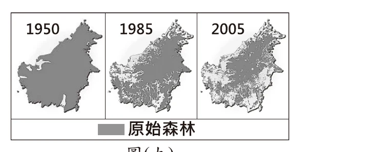 圖(九)：三張婆羅洲島輪廓圖，分別呈現1950年、1985年、2005年的原始森林(深灰色)分布範圍，面積隨時間持續大幅縮小