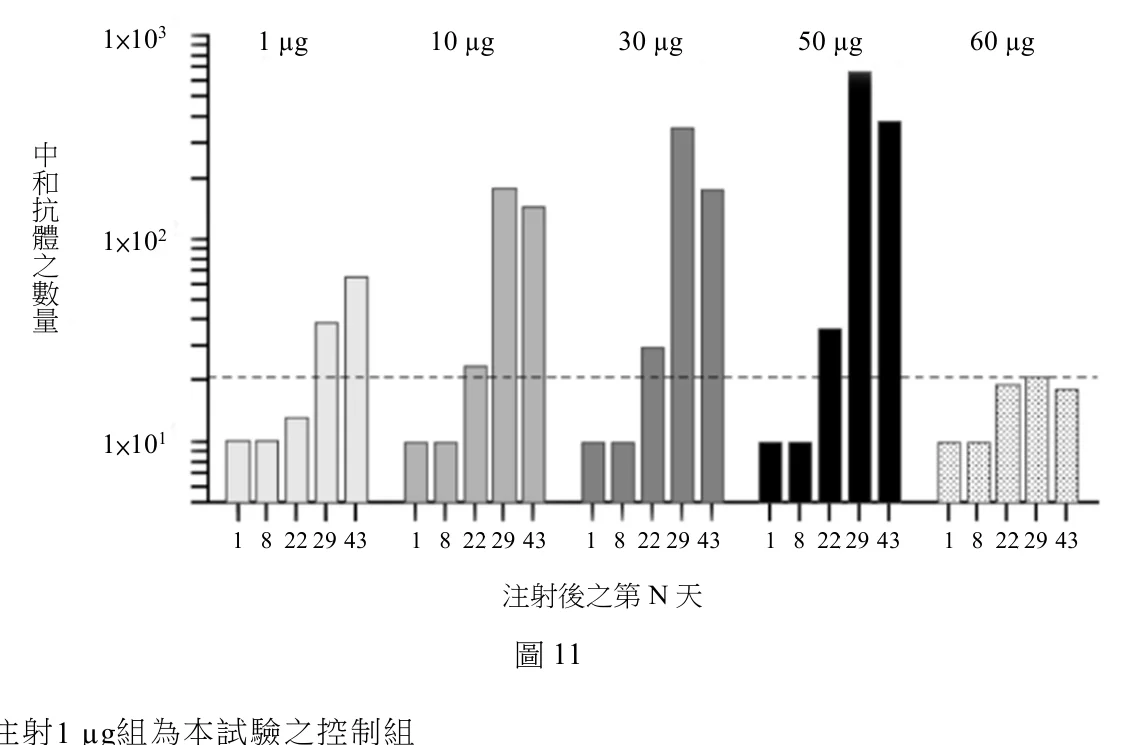 圖11：施打 RNA 疫苗後中和抗體數量的長條圖，橫軸為注射後第 1、8、22、29、43 天，分為 1、10、30、50、60 微克五個劑量組，縱軸為對數刻度