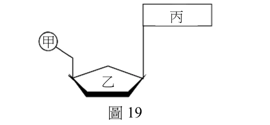 圖19：核苷酸模式圖，五邊形（乙）代表醣，一側連接圈選的甲，另一側頂端連接方框丙（含氮鹼基）
