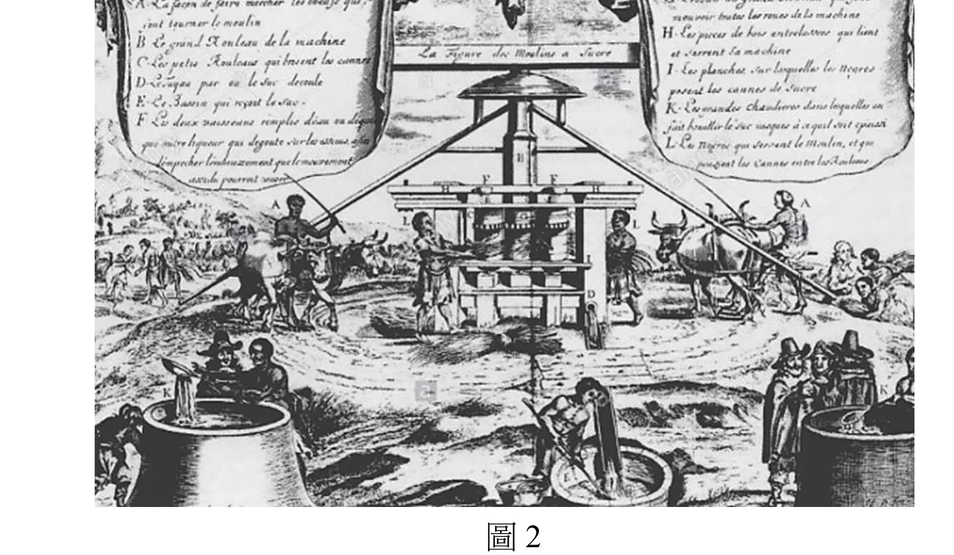 圖2：歐洲十七世紀流傳的蔗糖生產過程版畫，畫面中央為牛隻拉動的榨蔗機，兩側標註A至L的說明文字，機器旁有多名工人操作，前景與兩側各有一口大鍋盛裝糖汁，遠方可見更多田間勞動人物