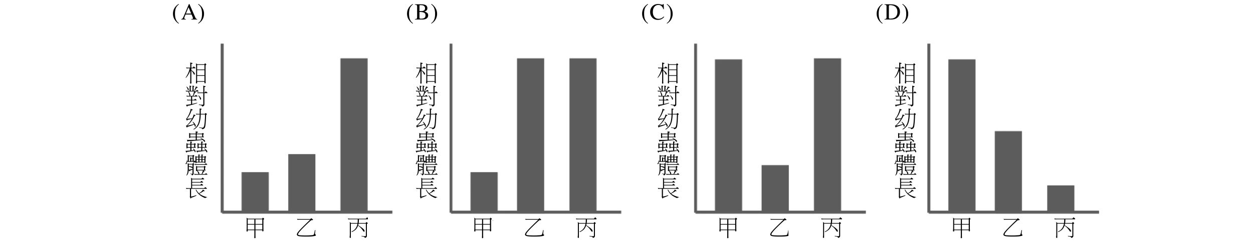 四小圖為選項(A)(B)(C)(D)，橫軸皆為甲（無供應物）、乙（死掉的火蟻蛹）、丙（活的O.biroi蛹），縱軸為相對幼蟲體長。(A)：甲最矮、乙中等、丙最高，三者依序遞增。(B)：甲矮，乙與丙一樣高（皆為最高）。(C)：甲高、乙矮（三者中最矮）、丙高（甲丙同高）。(D)：甲最高、乙中等、丙最矮，三者依序遞減。