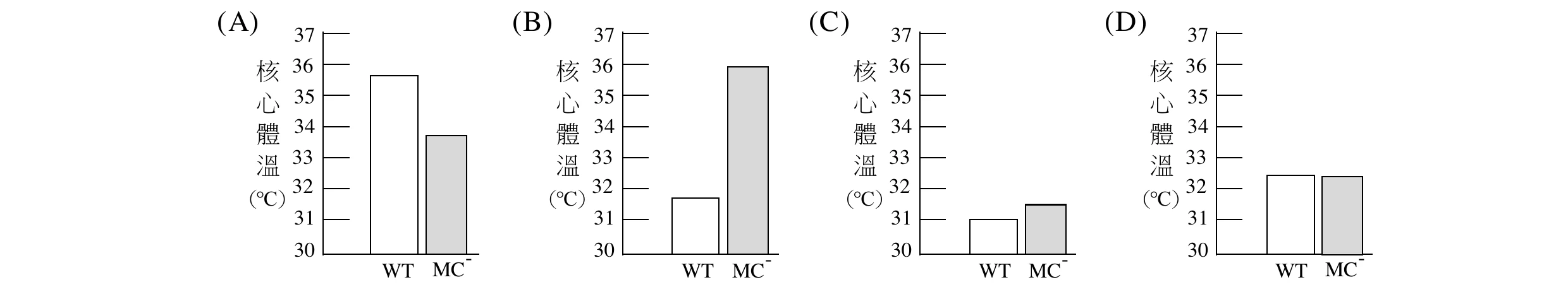 四小圖為選項(A)(B)(C)(D)，橫軸皆為WT（野生型）與MC-（肥大細胞缺失小鼠），縱軸為核心體溫（30～37°C）。(A)：WT較高（約35.6°C）、MC-較低（約33.7°C）。(B)：WT較低（約31.7°C，代表過敏反應使體溫顯著下降）、MC-較高（約36°C，代表缺乏肥大細胞則不出現體溫下降）。(C)：WT約31°C、MC-約31.5°C，兩者皆偏低且相近。(D)：WT與MC-皆約32.4°C，兩者幾乎相同。