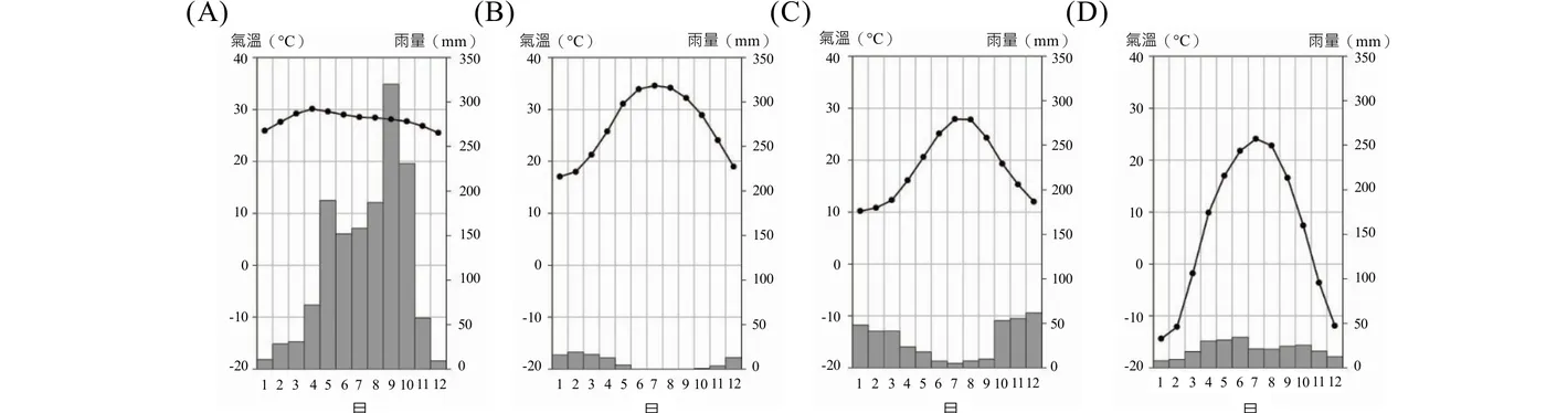四張並列的氣溫（折線，°C，-20～40）與雨量（長條，mm，0～350）複合氣候圖，橫軸皆為1～12月。(A)氣溫呈平緩單峰型，1月約26°C、緩升至8～9月約30～35°C再降回冬季約26°C，全年氣溫偏高變化小；雨量集中在4～10月（4月起明顯增多，9月達最高約320mm——柱頂明顯高於同月氣溫曲線點，10月仍有約230mm），11月起驟減、12月至3月雨量極少，屬熱帶濕季集中型。(B)氣溫呈明顯單峰型且振幅大，1月約17°C，逐月上升至7月達最高約36°C，再降回12月約18°C；雨量全年皆極低（各月均接近0～20mm，僅年末年初略增），屬典型熱帶沙漠氣候（全年高溫炎熱、雨量稀少）。(C)氣溫呈單峰型，1月約10°C，升至7月最高約29°C，再降回12月約12°C，振幅中等；雨量全年偏低但仍有起伏，1～3月與10～12月略多（約40～60mm），4～9月降至最低（接近0～20mm）。(D)氣溫呈單峰型，1月最低約-15°C，升至7月最高約24°C，再降回12月約-13°C，冬夏溫差極大；雨量全年皆低，僅6～9月略增（約30～60mm），屬溫帶大陸性氣候特徵。其中(B)全年高溫（17～36°C）且雨量終年稀少，最符合甲國（波斯灣沿岸、熱帶沙漠氣候）的氣候特徵。