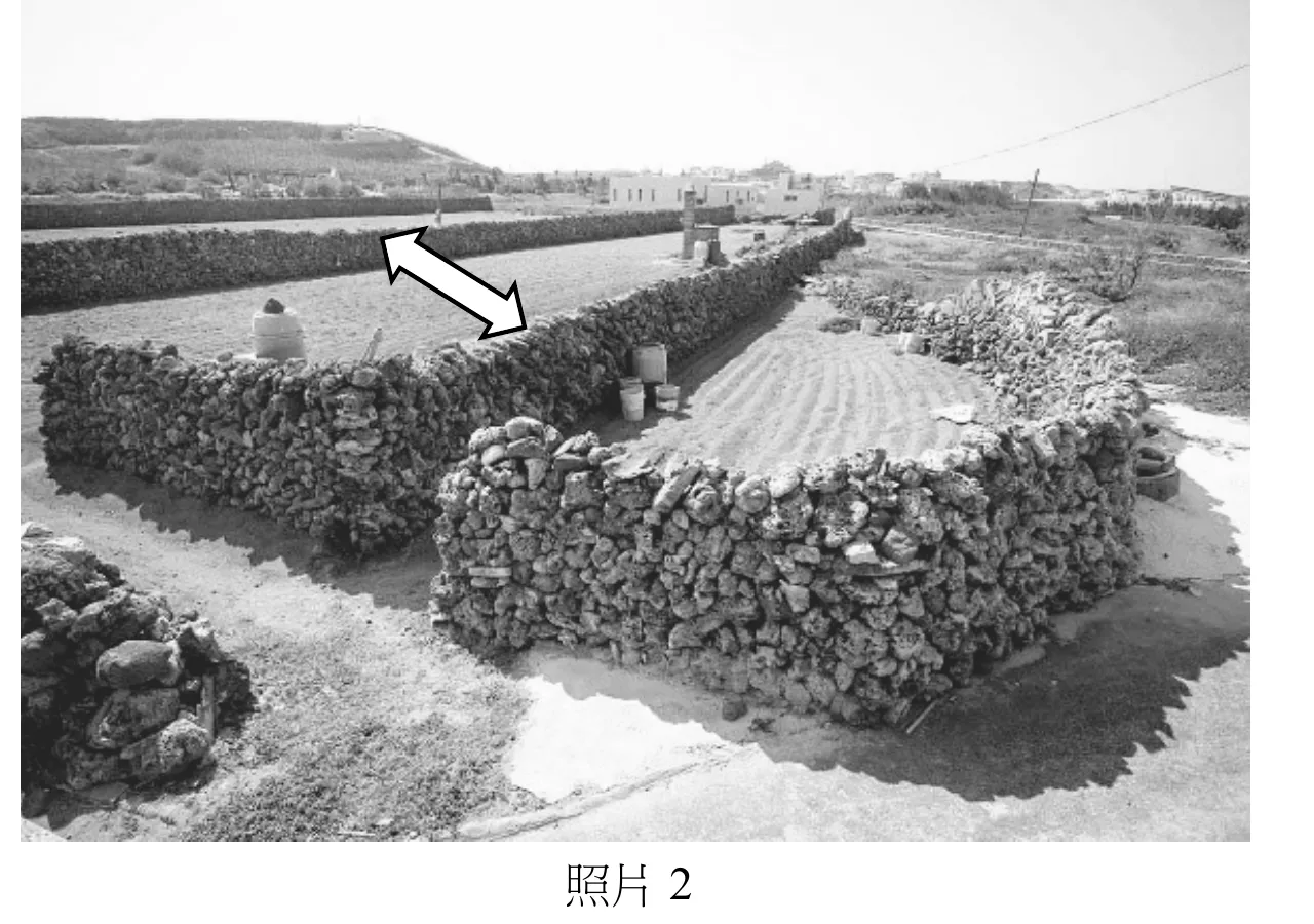 黑白照片，前景與中景為澎湖菜宅（以珊瑚礁石、玄武岩塊層層堆砌而成的矮牆圍成的農田），畫面中至少可見三、四個相鄰的方形或多邊形石牆圍田，田埂內有整地後的壟溝痕跡；石牆間有數個以石塊堆疊成圓錐狀的傳統儲物設施（蜂巢田某處堆置點）。畫面中央偏左的石牆頂端立有一個白色雙頭箭頭符號，箭頭指向左上與右下兩個相反方向。遠景可見平緩的丘陵地、聚落矮房與電線桿，天空明亮無明顯雲層。石牆牆面走向大致與箭頭所指方向垂直，藉此阻擋箭頭方向吹來的強風，符合澎湖冬季東北季風強勁、菜宅牆體多與東北—西南風向垂直（即牆體走向東南—西北）以防風的配置。
