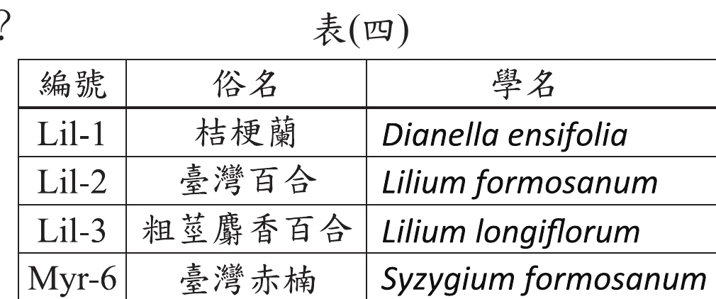 表(四)：編號/俗名/學名對照表。Lil-1：桔梗蘭 Dianella ensifolia；Lil-2：臺灣百合 Lilium formosanum；Lil-3：粗莖麝香百合 Lilium longiflorum；Myr-6：臺灣赤楠 Syzygium formosanum。編號前綴Lil/Myr為資料庫代號，與學名屬名(斜體字第一字)不完全對應，Lil-1實際屬名為Dianella而非Lilium