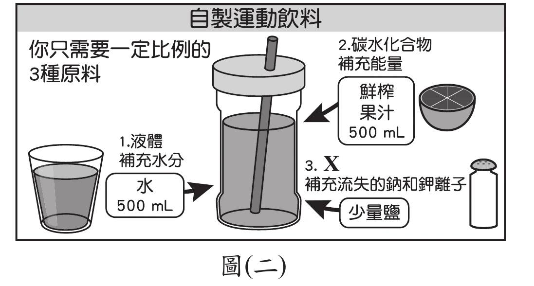 圖(二)：自製運動飲料成分說明圖，列出水、糖(醣類)、檸檬汁(有機酸)、鹽巴標示為X，箭頭指向鹽巴對應的成分類別