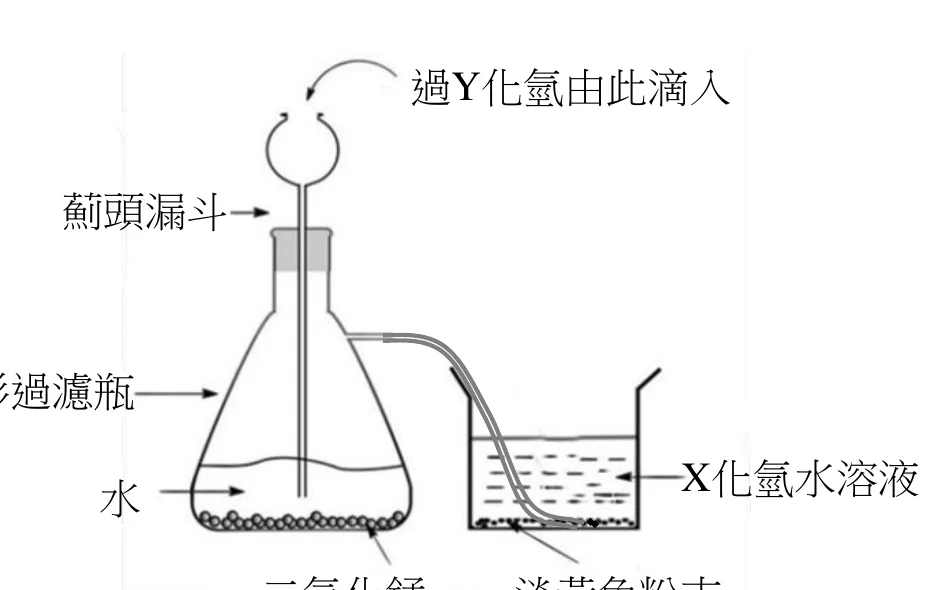 圖8：實驗裝置圖，錐形過濾瓶內有二氧化錳與水，薊頭漏斗滴入過Y化氫，產生的氣體導入盛有X化氫水溶液的燒杯並生成淡黃色粉末