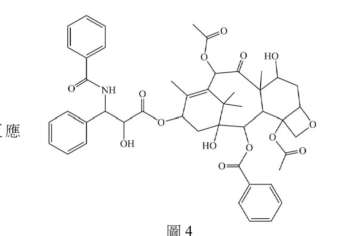 紫杉醇的完整化學結構式（骨架式）。分子核心為多環稠合的複雜萜類骨架，中央大環上標有多個甲基（$\mathrm{CH_3}$）取代；核心左側經一個酯基（$-\mathrm{O-C(=O)-}$）連接一條側鏈：側鏈上有一個 OH、一個經醯胺鍵（$-\mathrm{C(=O)NH-}$）連接的苯甲醯基（苯環＋C=O），以及另一個苯環直接接在側鏈碳上。核心骨架上另有：一個酮基 C=O、一個以含氧五員環（內含一個環氧橋 O）連接的部分、右側一個 HO 取代基、右下方一個乙醯氧基（$-\mathrm{O-C(=O)-CH_3}$）、以及骨架下緣另一個苯甲醯氧基（$-\mathrm{O-C(=O)-}$苯環）。結構下方置中標示「圖4」。