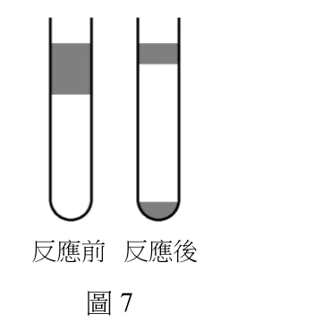 兩支並排的直立試管示意圖。左管上方標示「反應前」：管內上半部為較深灰色的一層液體，下半部為無色（留白）液體，兩層以水平分界線區隔，深色層在上、無色層在下。右管上方標示「反應後」：管內僅在最上方有一薄層淺灰色液體，其餘大部分為無色（留白），另在試管最底部有一小段深灰色液體，即由上而下依序為「淺灰薄層／無色主體／底部深灰薄層」三層。圖下方置中標示「圖7」。