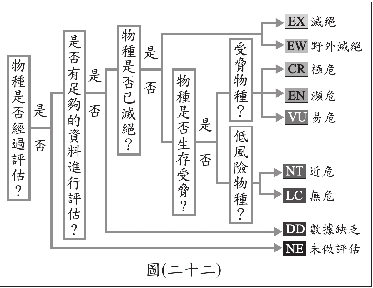 圖(二十二)：IUCN物種滅絕風險評估流程圖，由左至右以一連串長方框與「是／否」分支箭頭連接。第一框「物種是否經過評估？」，否則指向「NE 未做評估」；是則進入第二框「是否有足夠的資料進行評估？」，否則指向「DD 數據缺乏」；是則進入第三框「物種是否已滅絕？」，是則指向「EX 滅絕」與「EW 野外滅絕」兩個結果；否則進入第四框「物種是否生存受脅？」，是則進入「受脅物種？」框，再分岔指向「CR 極危」「EN 瀕危」「VU 易危」三個結果；否則進入「低風險物種？」框，分岔指向「NT 近危」「LC 無危」兩個結果