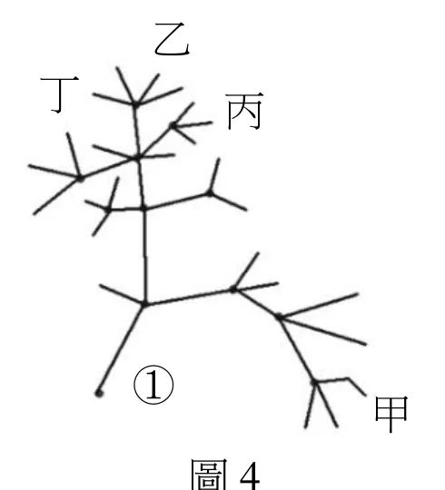 圖4：仿製達爾文首次繪出的生命樹，①為樹根位於左下，甲由主幹較早期分出並位於右下，乙丙丁則群集於上方