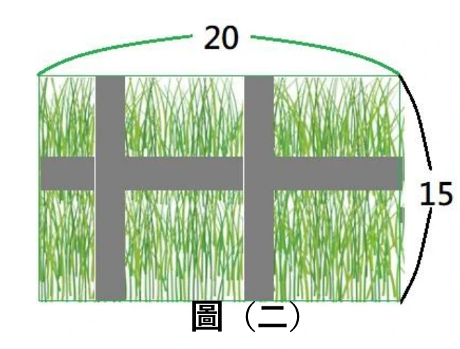 長方形草地示意圖（內部填滿綠色草地紋理）：上緣以綠色弧線標示寬度20（公尺），右側以黑色弧線標示高度15（公尺）。草地內部有三條等寬的灰色道路：兩條縱向道路貫穿整個高度、一條橫向道路貫穿整個寬度，橫向道路與兩條縱向道路垂直相交，構成兩個十字形交叉點左右並排的「雙十字形」道路格局。圖上未標示道路寬度的數值。