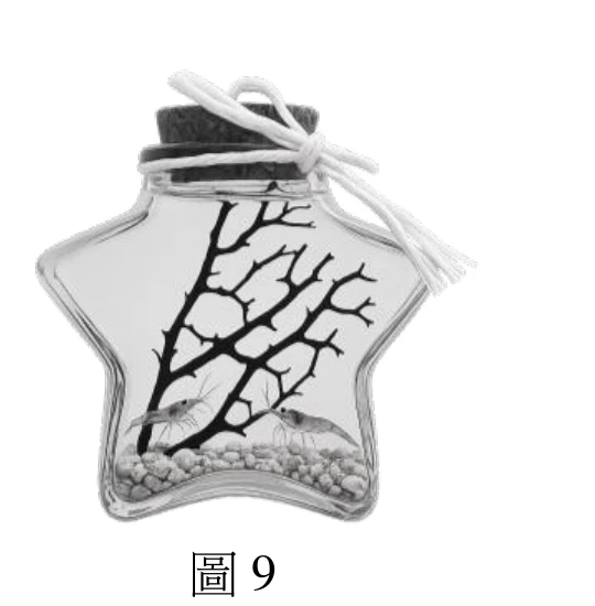 一個星形玻璃容器的照片，瓶口以軟木塞封住，塞上綁著白色繩結。容器內部畫有一株分岔的深色枯枝造型，佔據容器中上部大部分空間，容器底部鋪有一層淺灰色顆粒狀物質（貝殼砂），枯枝間隱約可見兩隻淺色小蝦的剪影。容器外觀密封，未見任何開口或管線。