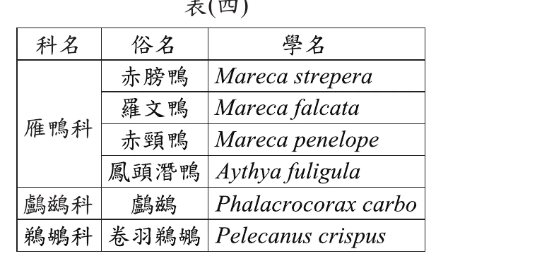 表(四)：雁鴨科(赤膀鴨Mareca strepera、羅文鴨Mareca falcata、赤頸鴨Mareca penelope、鳳頭潛鴨Aythya fuligula)、鸕鶿科(鸕鶿Phalacrocorax carbo)、鵜鶘科(卷羽鵜鶘Pelecanus crispus)