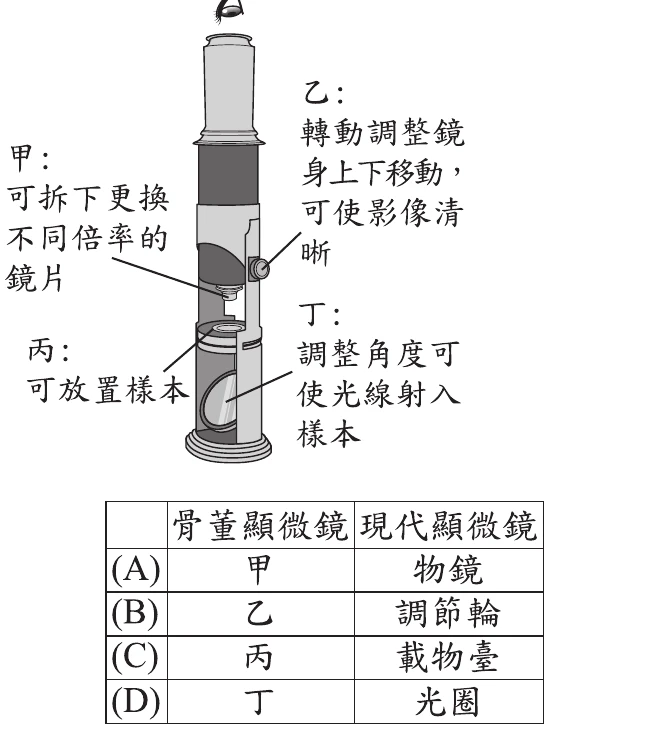 圖(十三)：骨董顯微鏡剖視圖，甲(可換鏡片)、乙(調焦旋鈕)、丙(放置樣本平台)、丁(凹面鏡反光)；表格列出甲丙丁乙與現代顯微鏡構造的對應猜測