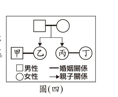 圖(四)：家系圖，父母的兩個女兒乙、丙分別與甲、丁結婚