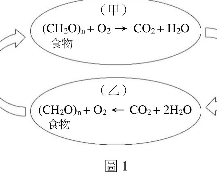 圖1：封閉生態系統示意圖，甲子系統為 (CH2O)n + O2 → CO2 + H2O，乙子系統為 (CH2O)n + O2 ← CO2 + 2H2O，兩者以箭號形成循環