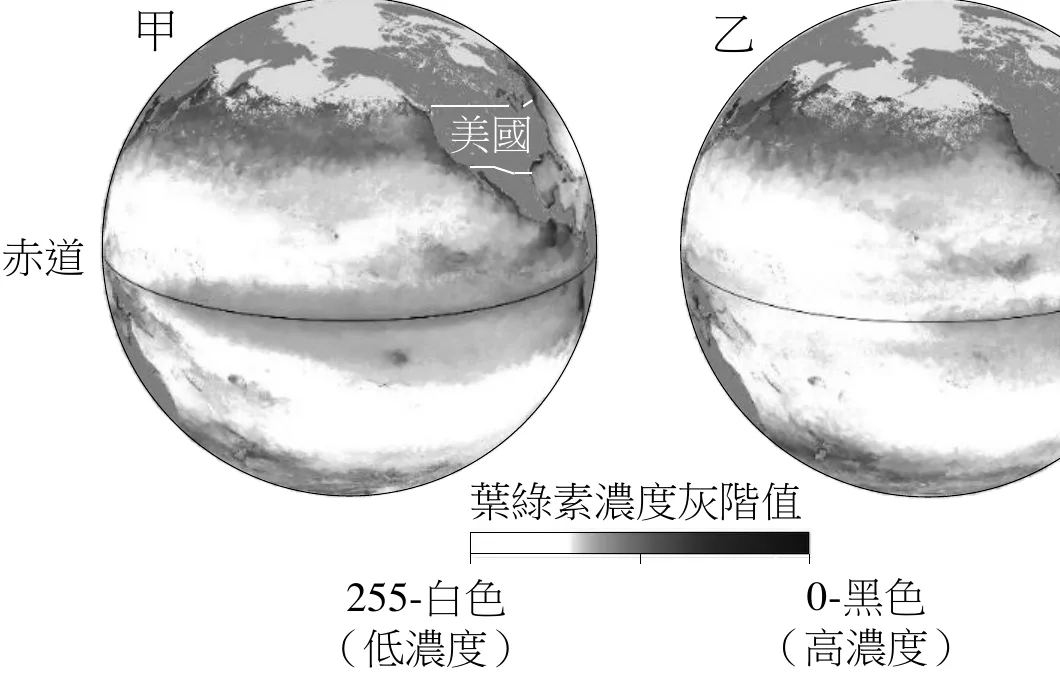 圖10：太平洋葉綠素濃度灰階圖，甲、乙兩張分別為聖嬰年與反聖嬰年十二月，灰階越黑代表葉綠素濃度越高