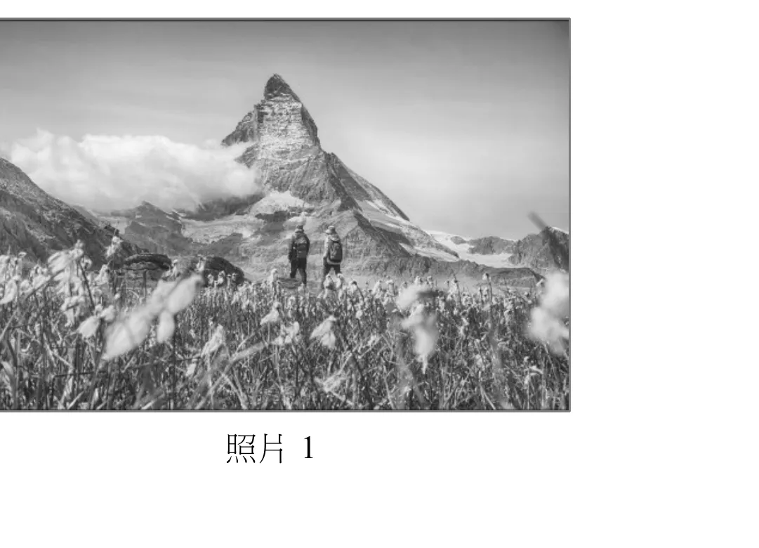 黑白照片，前景為一片隨風擺動、佈滿白色絨毛狀種子的高山野花草叢（近似棉花狀），草叢中央偏右站著兩位背對鏡頭、身著登山裝備與背包的登山客，正眺望遠方山峰。畫面中景為起伏的裸岩坡地與冰河遺留的碎石地形；遠方主體為一座孤立突出、四面陡削、頂部尖銳呈金字塔狀的角峰，峰頂與稜線上覆有殘雪，峰體左側有雲霧繚繞。此山形輪廓即瑞士馬特洪峰（Matterhorn）常見的經典角峰造型，為多面冰斗侵蝕匯聚形成的尖銳山峰。