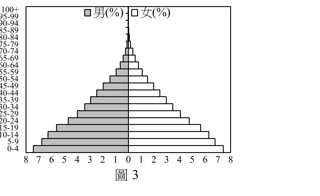 人口金字塔圖，縱軸由下而上依序為0-4、5-9……直到100+共21個五歲一組的年齡組，橫軸為男、女人口占總人口比率（%），刻度0～8，左側灰底為男性、右側白底為女性。金字塔呈標準的正三角形（擴張型）：0-4歲組左右兩側長條皆最長，約達7～7.5%，隨年齡層升高，各組長條長度依序穩定縮短，到100+組幾乎收斂為一點，左右兩側男女長條長度在各年齡層大致對稱。整體輪廓底寬頂尖、無中年或老年段外凸，顯示出生率高、青壯以下人口占絕大多數、老年人口比例極低的高成長型人口結構。