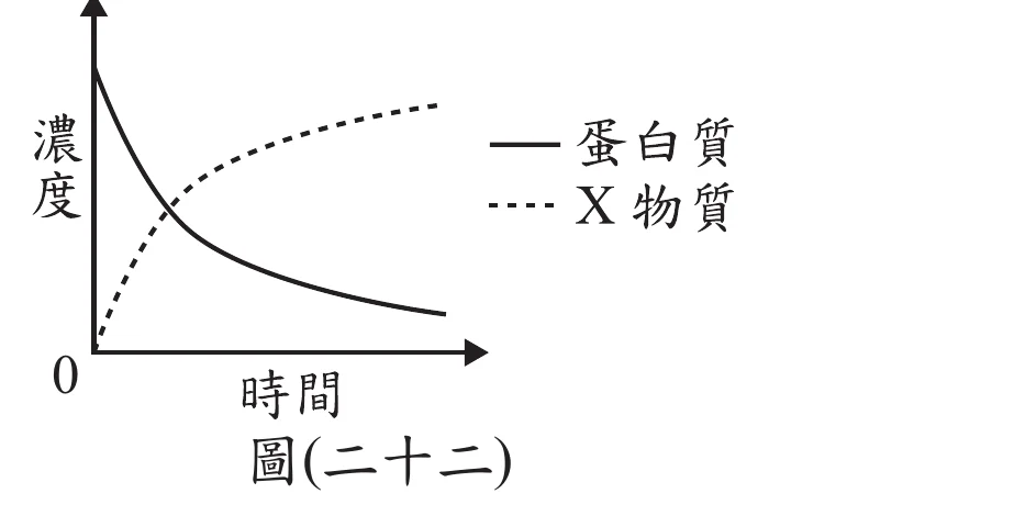 圖(二十二)：濃度對時間關係圖，縱軸「濃度」、橫軸「時間」，皆未標示刻度數值。實線代表「蛋白質」，自左上方較高濃度處逐漸下降並趨緩；虛線代表「X物質」，自左下方0附近逐漸上升並趨緩，兩線約在圖中段交叉。