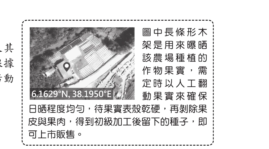 衛星空照圖：一座農場俯瞰影像，場內鋪設多排長條形木架用於曝晒作物果實，圖上以圖釘標示農場位置並標註座標6.1629°N, 38.1950°E；圖旁文字說明長條形木架用來曝晒該農場種植的作物果實，需定時以人工翻動果實確保日晒均勻，待果殼乾硬後剝除果皮與果肉，得到初級加工後留下的種子即可上市販售。