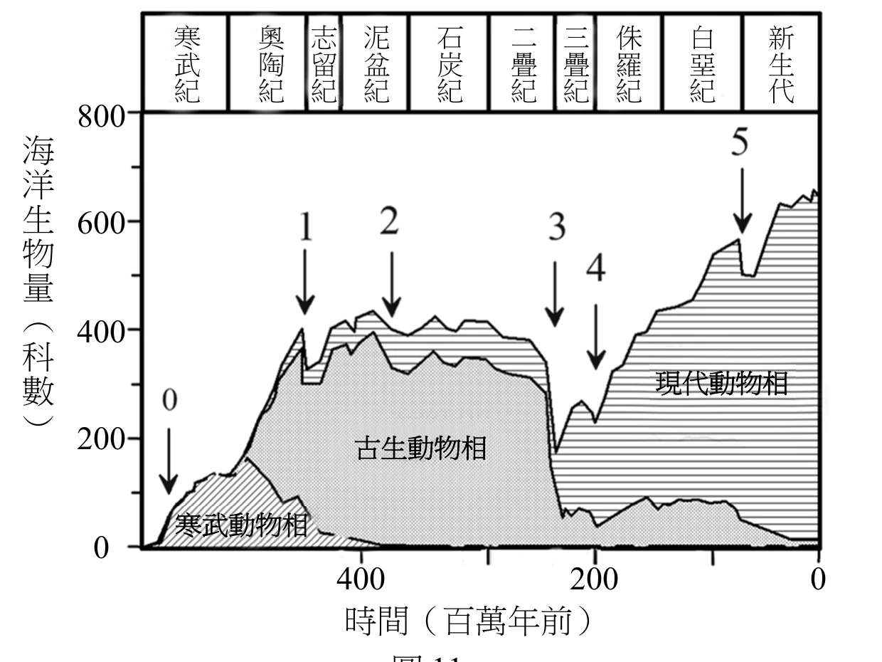 圖11：海洋生物科數隨地質時間的變化，區分寒武動物相、古生動物相與現代動物相，並以箭頭 1 至 5 標出五次大滅絕