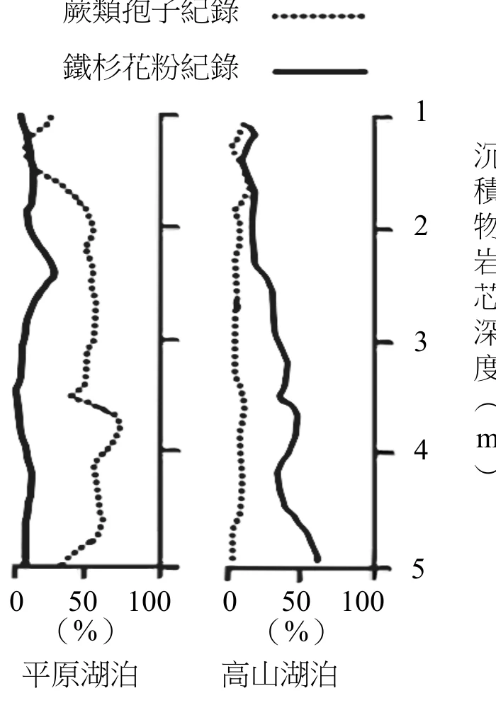 圖3：平原湖泊與高山湖泊兩支沉積物岩芯的蕨類孢子（點線）與鐵杉花粉（粗實線）百分比隨深度 1 至 5 公尺的變化